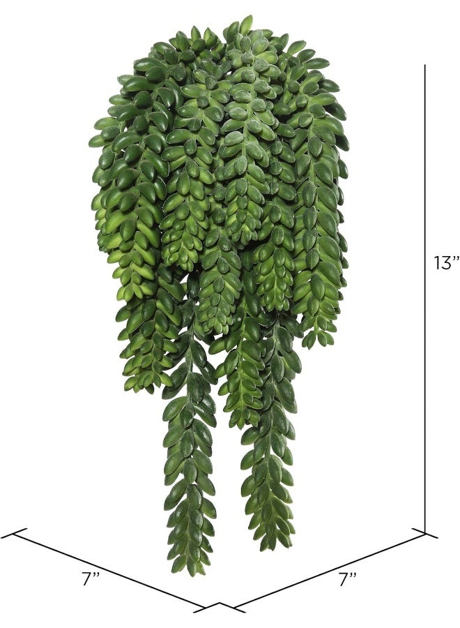 Vickerman 13" Plastic Artificial Green Donkey Tail Bush - Decorative Faux Spray of Durable Polyester - Faux Hanging Plant - Hanging Plant for Home or Office - Decorative Plants - Image 2
