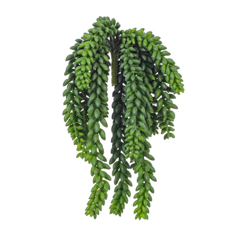 Vickerman 13" Plastic Artificial Green Donkey Tail Bush - Decorative Faux Spray of Durable Polyester - Faux Hanging Plant - Hanging Plant for Home or Office - Decorative Plants - Image 1