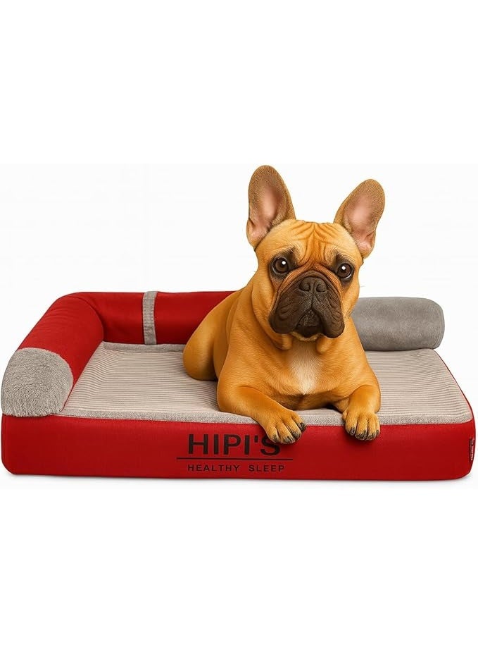 أن ان سي بيتس سرير للكلاب بتصميم تقويمي - وسادة أريكة للكلاب مزودة بإسفنج ميموري فوم - سرير مريح للحيوانات الأليفة للقطط والكلاب مع جوانب داعمة وغطاء قابل للإزالة والغسل وقاعدة مضادة للانزلاق - Image 4
