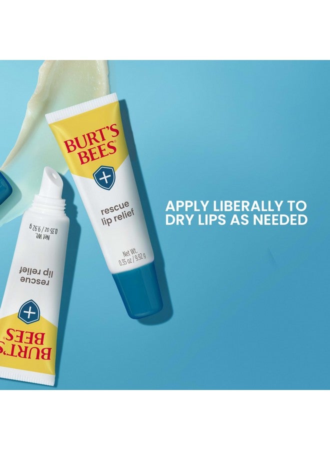 Burt's Bees Lip Balm Stocking Stuffers, Moisturizing Lip Care Christmas Gifts, Rescue Relief - Relieves Extremely Dry Lips with Moisturizing Shea Butter u0026 Echinacea, Natural Origin Treatment (3-Pack) - Image 4