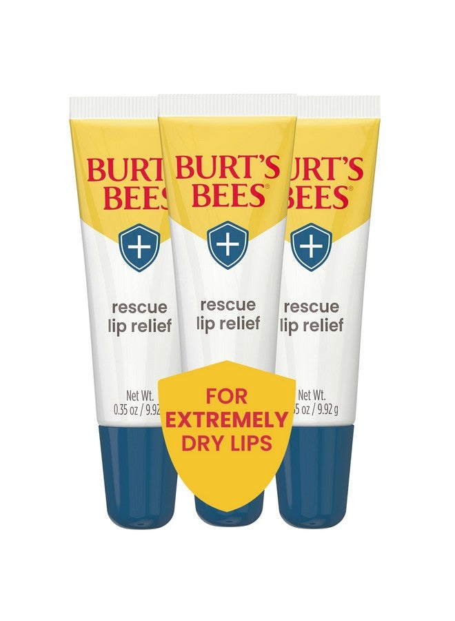 Burt's Bees Lip Balm Stocking Stuffers, Moisturizing Lip Care Christmas Gifts, Rescue Relief - Relieves Extremely Dry Lips with Moisturizing Shea Butter u0026 Echinacea, Natural Origin Treatment (3-Pack) - Image 1