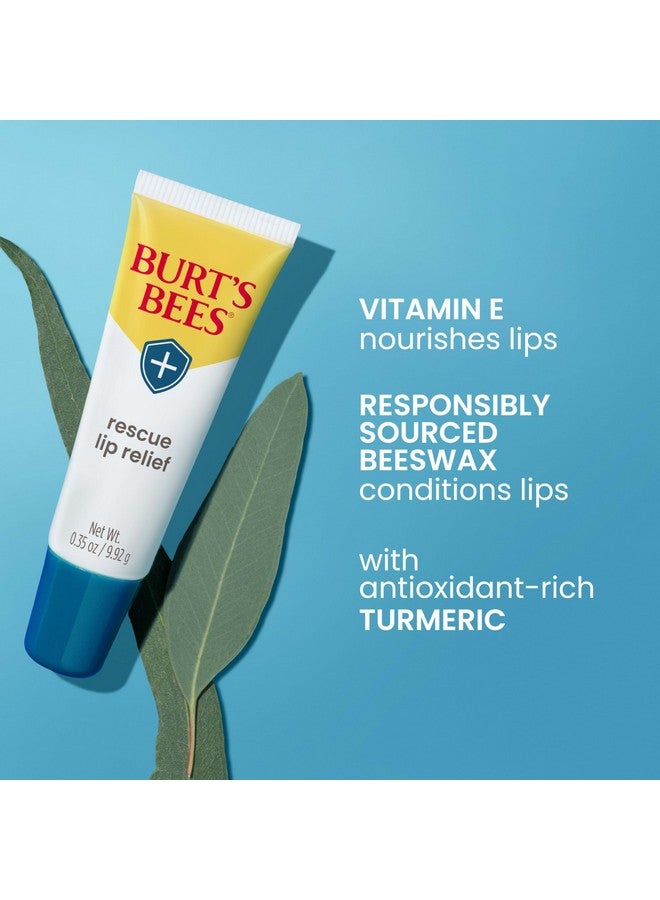 Burt's Bees Lip Balm Stocking Stuffers, Moisturizing Lip Care Christmas Gifts, Rescue Relief - Relieves Extremely Dry Lips with Moisturizing Shea Butter u0026 Echinacea, Natural Origin Treatment (3-Pack) - Image 3