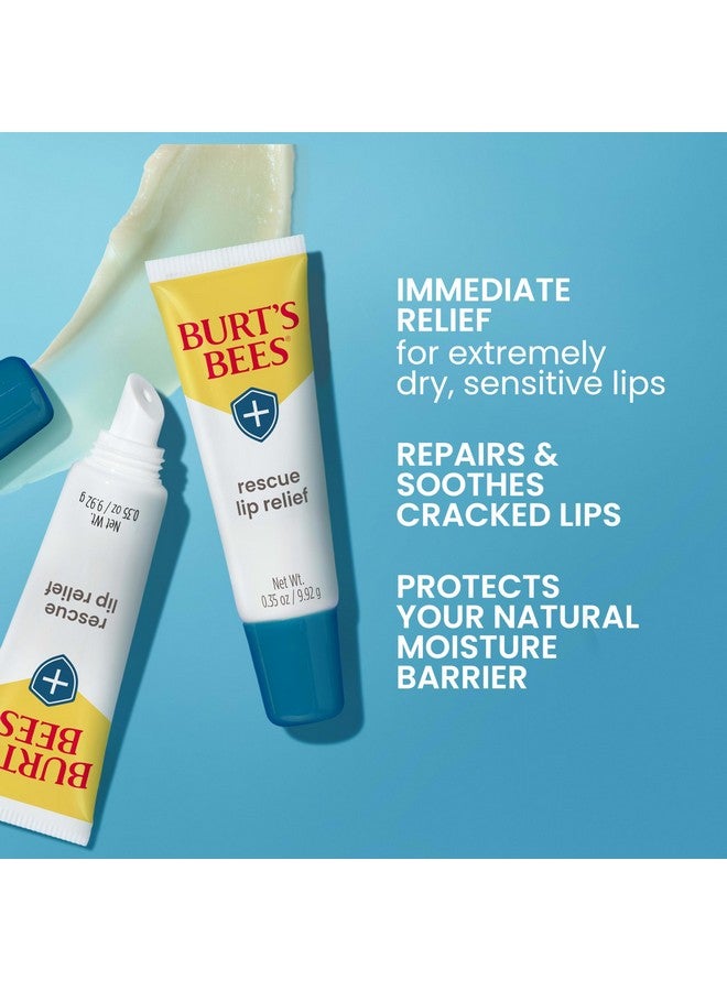 Burt's Bees Lip Balm Stocking Stuffers, Moisturizing Lip Care Christmas Gifts, Rescue Relief - Relieves Extremely Dry Lips with Moisturizing Shea Butter u0026 Echinacea, Natural Origin Treatment (3-Pack) - Image 2