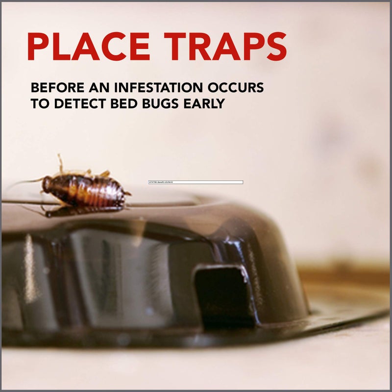 Raid Bed Bug Detector & Trap Early Detection and Monitoring for Home or Travel 8 Count (Pack of 1) - Image 3