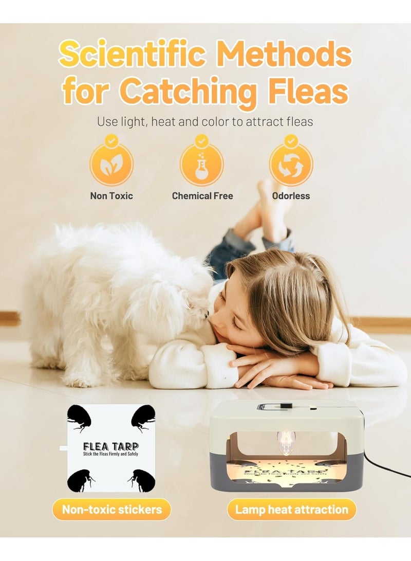 general 2 Pack Flea Traps for Inside Your Home, Flea Light Traps for Home Indoor with 4 Bulbs and 8 Sticky Discs, Bed Bug Trap Safe to Pets and Kids - Image 2
