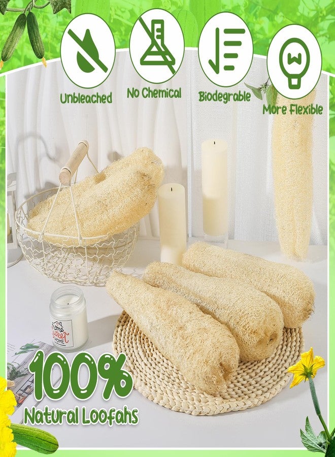 ZhouBoat 11.8 inches Natural Loofah Sponges Pack of 6, for Kitchen Dishes Body Scrubber - Image 3
