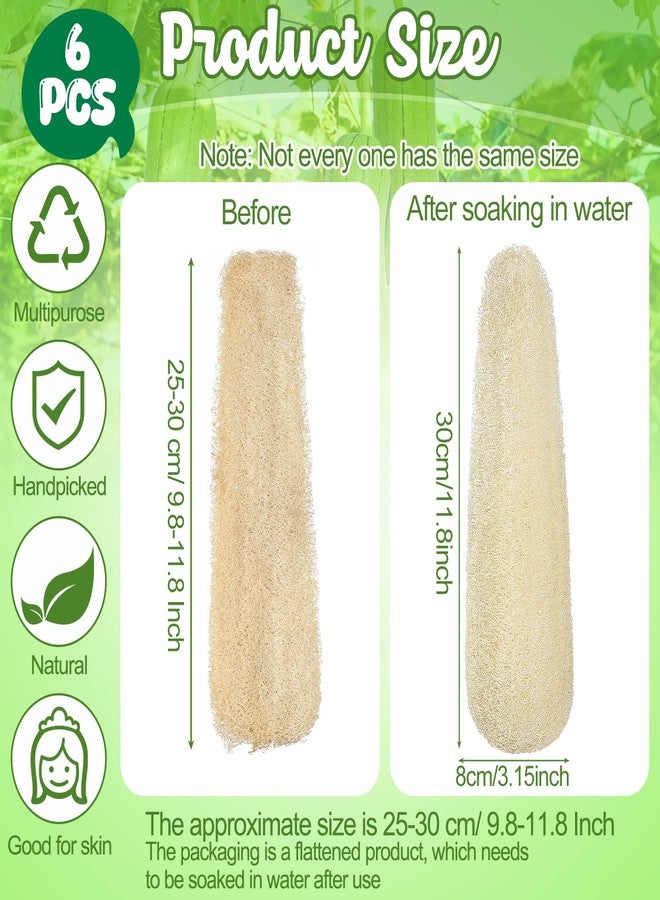 ZhouBoat 11.8 inches Natural Loofah Sponges Pack of 6, for Kitchen Dishes Body Scrubber - Image 2