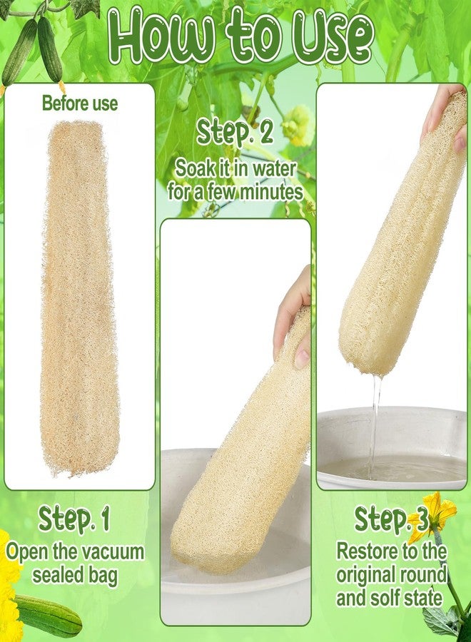 ZhouBoat 11.8 inches Natural Loofah Sponges Pack of 6, for Kitchen Dishes Body Scrubber - Image 4