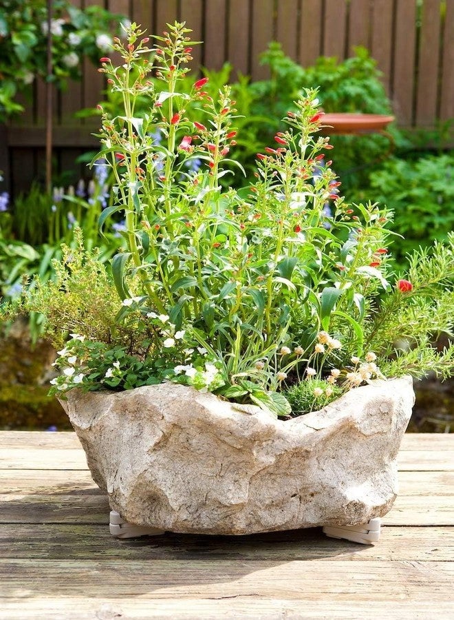 بوسمير قواعد أواني بوسمير، رافعات لأواني النباتات للاستخدام الداخلي والخارجي، تمنع البقع والتعفن على الخشب والأسمنت والبلاط - أسود (عبوة من 12 قطعة) - Image 4