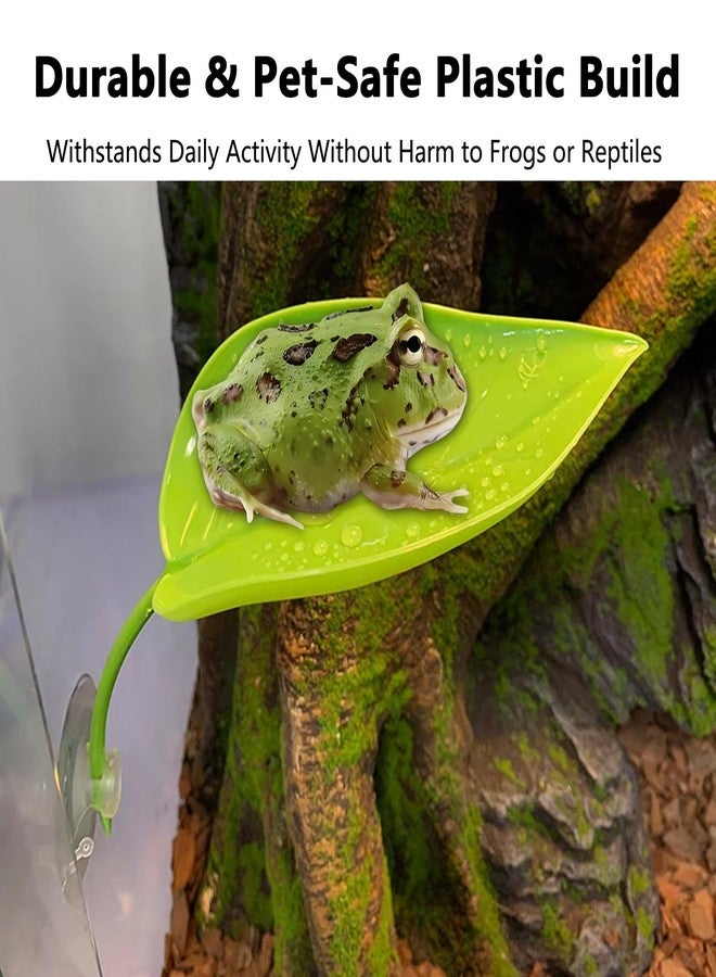 KGCGJVB 2 Pack Frog Tank Accessories Plastic Tree Ledge Decor with Suction Cups Aquatic Habitat Kit for African Dwarf Frogs Reptile Decorations for Aquarium Terrarium Tank Setup and Enclosure - Image 4