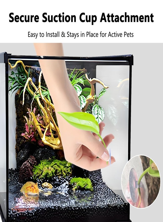 KGCGJVB 2 Pack Frog Tank Accessories Plastic Tree Ledge Decor with Suction Cups Aquatic Habitat Kit for African Dwarf Frogs Reptile Decorations for Aquarium Terrarium Tank Setup and Enclosure - Image 5
