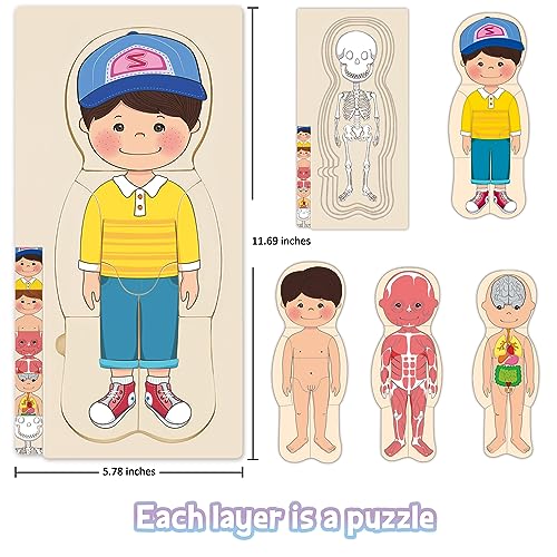 MoinKidz Wooden My Body Puzzle for Toddlers Kids Boys Montessori Anatomy Puzzle Kid Play Set Preschool Game Learning Human Body Skeleton Toys for Kids Ages 35 - Image 5