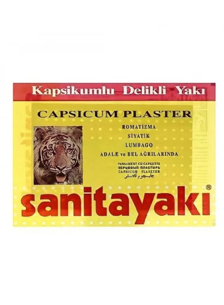 Generic Sanitayaki Hot Capsicum Pain Relief Patch 10pcs 