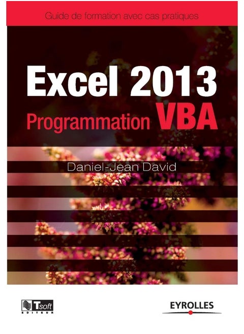 Excel 2013 - Programmation VBA