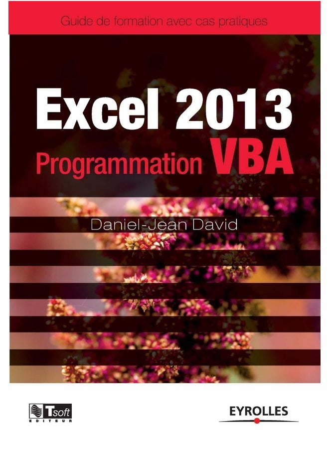 Excel 2013 - Programmation VBA 