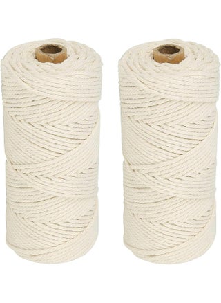 2 Pack 2mm White Cotton Rope Craft Macrame Cord, Natural Long Cotton Rope Handmade Art Material for Craft Wall, Hanging Plants, Drawstrings, Gardening, Home Decorations (2 x 100M White) - pzsku/Z1769548AF6A1026541CBZ/45/_/1719481917/dabd568a-7f98-4b0f-ba4a-fc92c4aec4b6