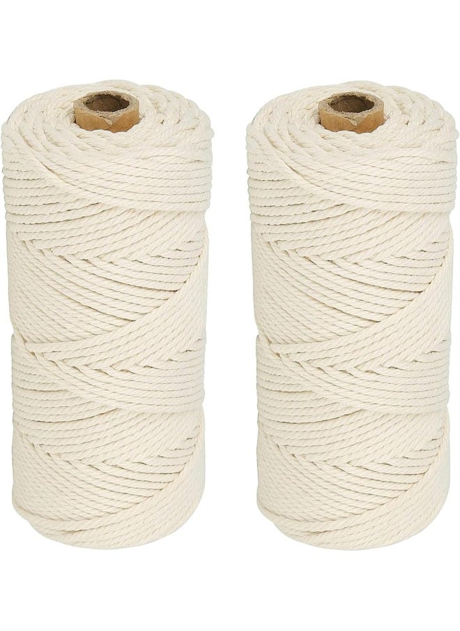 Premify 2 Pack 2mm White Cotton Rope Craft Macrame Cord, Natural Long Cotton Rope Handmade Art Material for Craft Wall, Hanging Plants, Drawstrings, Gardening, Home Decorations (2 x 100M White)  - Image 1