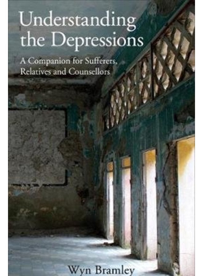 Understanding the Depressions A Companion for Sufferers Relatives and Counsellors - Paperback