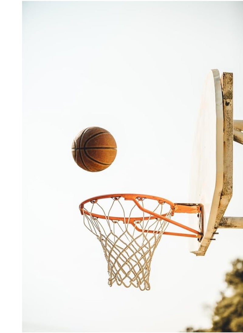 Generic - Basketball Set with Flexible Metal Basketball Hoop and Net - Image 1