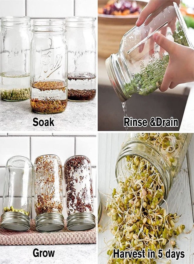 QurHapzy 12 Pack Sprouting Lids,304 Stainless Steel Screen Filter Strainer Lid for 2.75 Inch Regular Mouth Mason Jar,Mesh Bean Sprout Sieve Lids,Home Use Alfalfa,Salad,Broccoli,Lentil NO GLASS JAR QurHapzy - Image 4