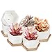 OAMCEG OAMCEG Succulent Pots,  4 Inch Succulent Planters, Set of 6 White Ceramic Succulent Cactus Plant Pots with Bamboo  - Image 2