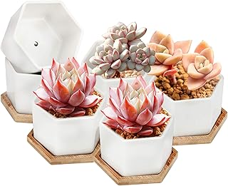 OAMCEG OAMCEG Succulent Pots,  4 Inch Succulent Planters, Set of 6 White Ceramic Succulent Cactus Plant Pots with Bamboo  - Image 1