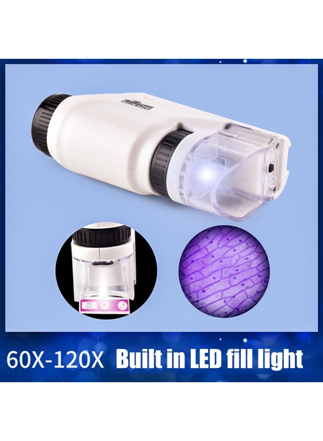 Little Scientist Microscope, Handheld Pocket Miniscope Kits with 12 Specimens, Little Marvin Microscope, Portable Mini Microscope for Educational Science (White) - Image 5