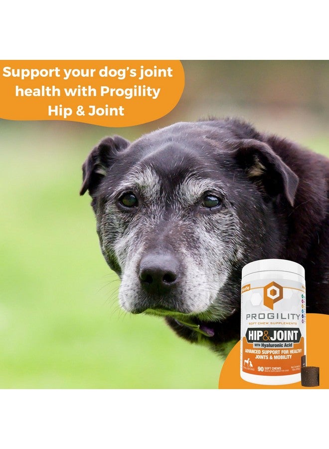 nootie Nootie Progility Hip & Joint Supplement for Dogs, Dog Joint Support with Glucosamine and Chondroitin, 90 Count - Image 2