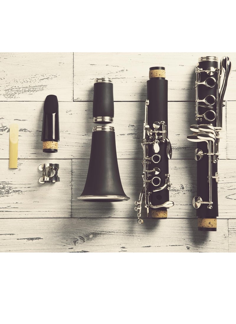 Bukela Bb Clarinet Traditional Reeds, Strength 2.5, 10 Pack with Portable Case  - Image 4
