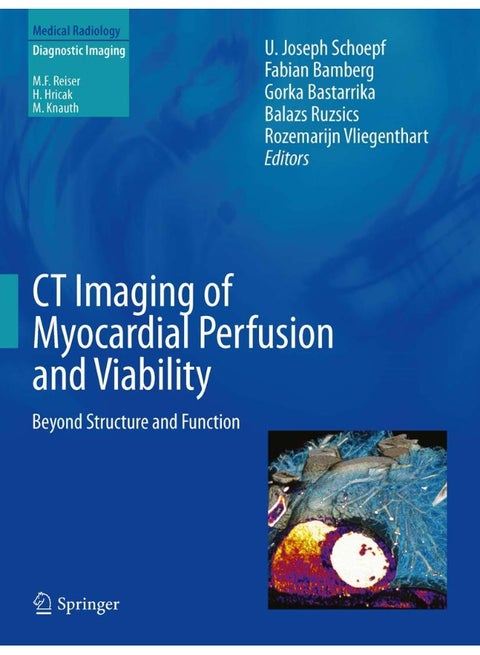 CT Imaging of Myocardial Perfusion and Viability: Beyond Structure and Function