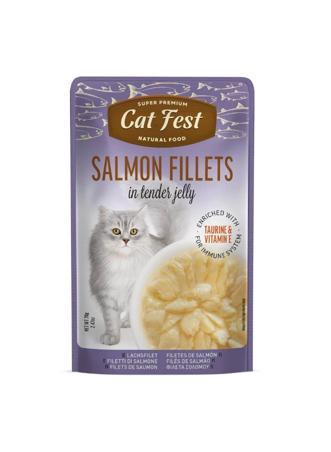 Cat Fest  - Tender Jelly For Cats 70g / Salmon Fillets