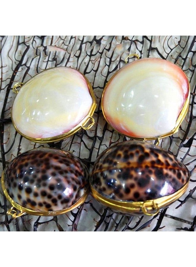 klarako Shell Jewelry Box Sundries Organizer Ring Holder Bedroom Home Decor or Birthday Gifts 1pc  - Image 3