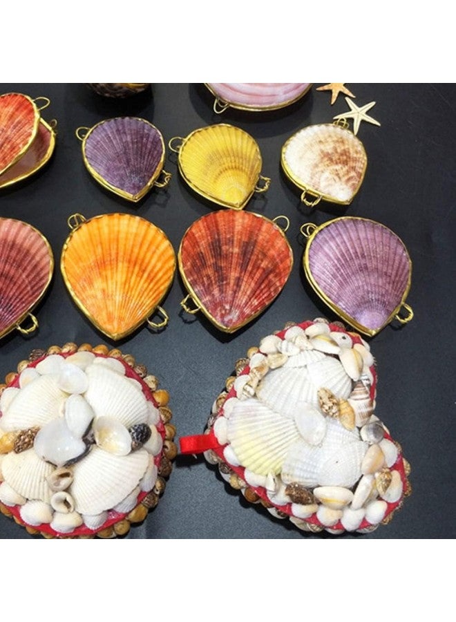 klarako Shell Jewelry Box Sundries Organizer Ring Holder Bedroom Home Decor or Birthday Gifts 1pc  - Image 4