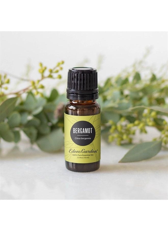 Edens Garden Bergamot Essential Oil, 100% Pure Therapeutic Grade (Undiluted Natural/Homeopathic Aromatherapy Scented Essential Oil Singles) 10 ml 