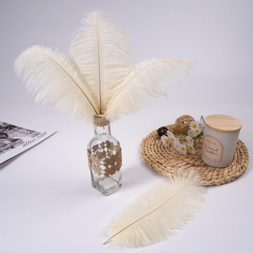 Sowder 50pcs Natural 8-10inch(20-25cm) Ostrich Feathers Home Wedding Decoration(Ivory) - Image 4