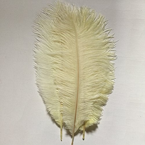 Sowder 50pcs Natural 8-10inch(20-25cm) Ostrich Feathers Home Wedding Decoration(Ivory) - Image 2