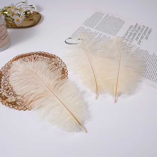 Sowder 50pcs Natural 8-10inch(20-25cm) Ostrich Feathers Home Wedding Decoration(Ivory) - Image 5
