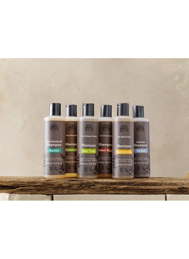 أورتيكرام شامبو يورتيكرام للشعر الناعم بالروزماري، 250 مل - Image 3