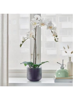 Plant Pot In And Outdoor Grey 12 Cm - pzsku/Z17749A4CB5E751629B5AZ/45/_/1732522756/1fa42a1b-495f-41cf-917a-c7e318da1abb