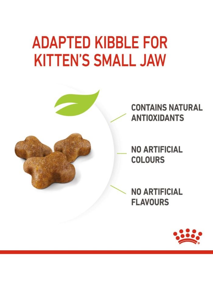 ROYAL CANIN Feline Health Nutrition Kitten 2 KG - Image 2