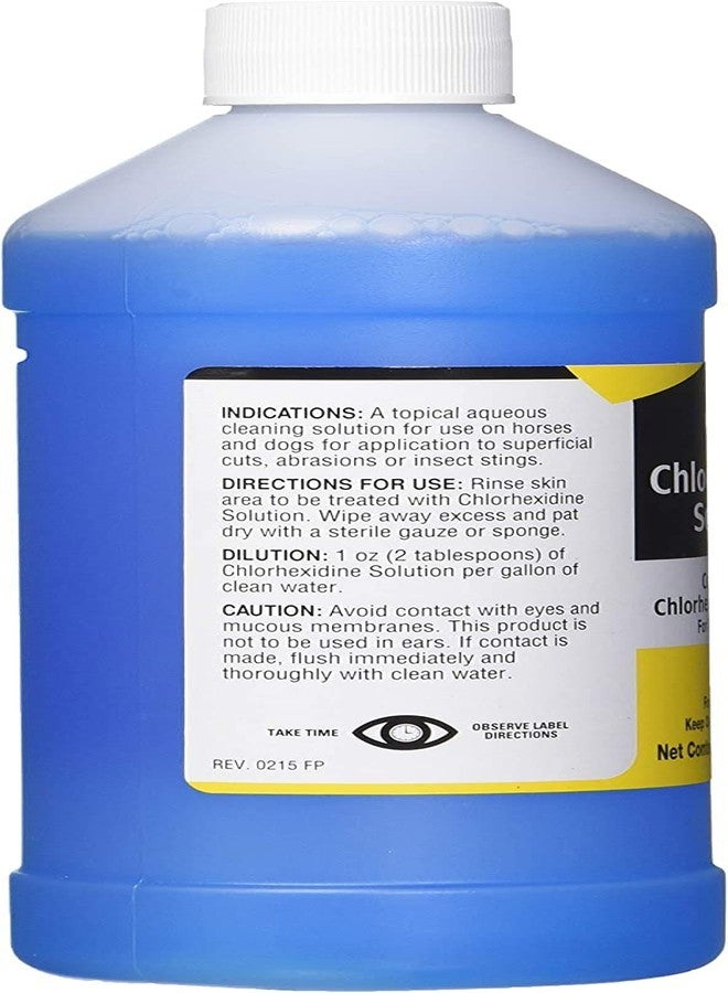 Durvet 3 Bottles of Chlorhexidine Solution, 16 Ounces Each, for Cleaning Superficial Wounds on Dogs and Horses - Image 3