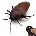 Tipmant RC Cockroach Toy Remote Control Roach Insect Realistic Simulation Electric Electronic Animal for Cat Toddler Kids Birthday Gifts Includes Screwdriver Battery - Image 4