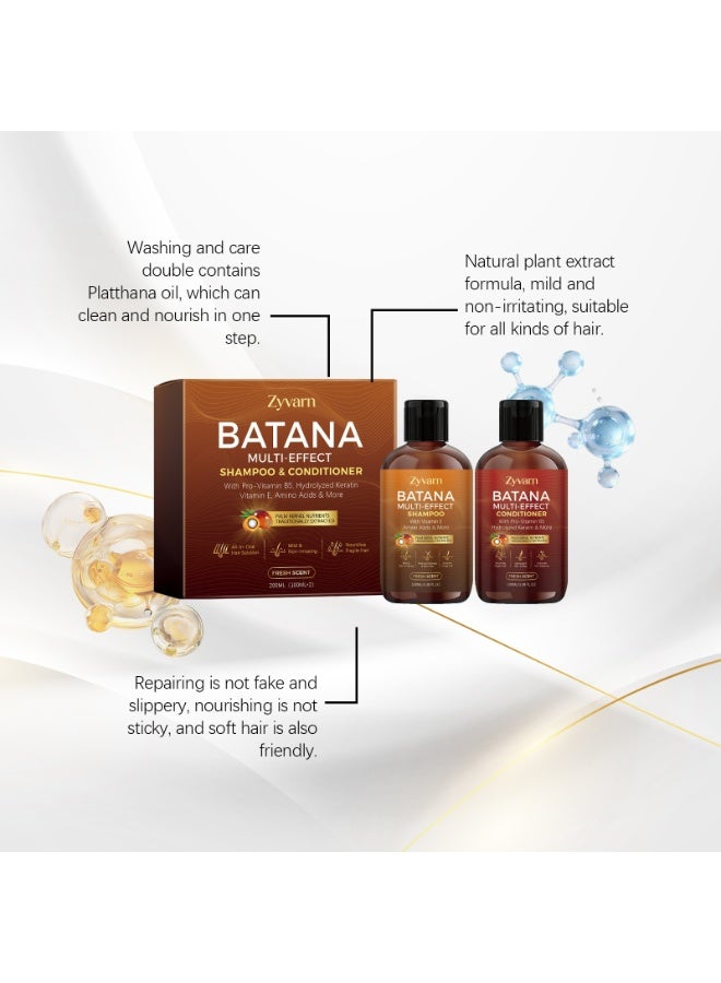 Zyvarn Batana Oil Hair Care Shampoo & Conditioner Set, Mild Plant Extract Cleansing & Nourishing Hair Kit, Repair Dry Damaged Hair for All Scalp & Hair Types, 2 Bottles 100ml Each - Image 3