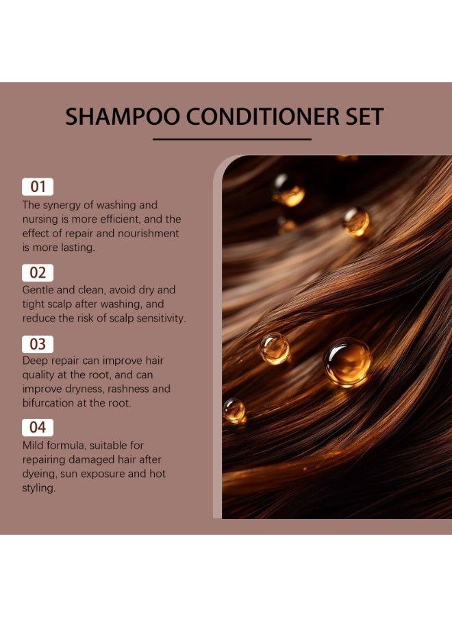 Zyvarn Batana Oil Hair Care Shampoo & Conditioner Set, Mild Plant Extract Cleansing & Nourishing Hair Kit, Repair Dry Damaged Hair for All Scalp & Hair Types, 2 Bottles 100ml Each - Image 4