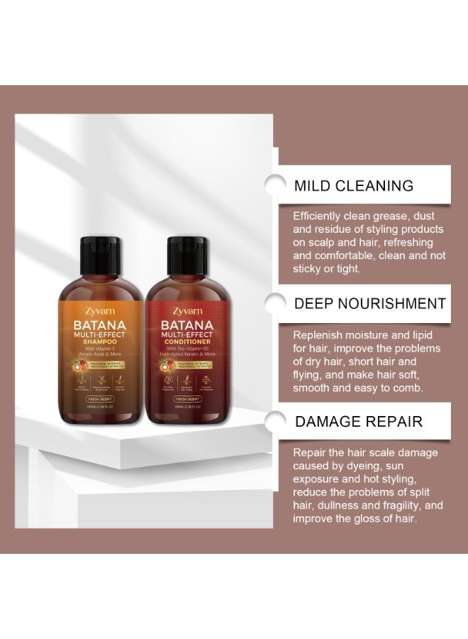 Zyvarn Batana Oil Hair Care Shampoo & Conditioner Set, Mild Plant Extract Cleansing & Nourishing Hair Kit, Repair Dry Damaged Hair for All Scalp & Hair Types, 2 Bottles 100ml Each - Image 2