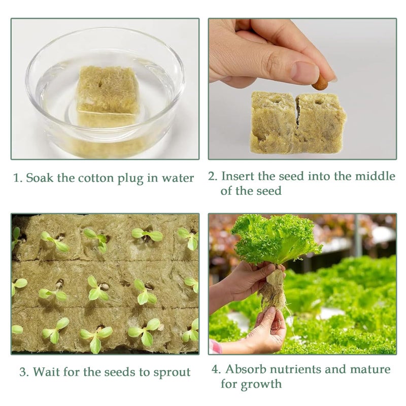 Meridian Hydroponic Growing Cubes – 50 Rockwool Blocks for Soil‑Less Cultivation, Seedling Propagation and Transplantation - CT - Image 3