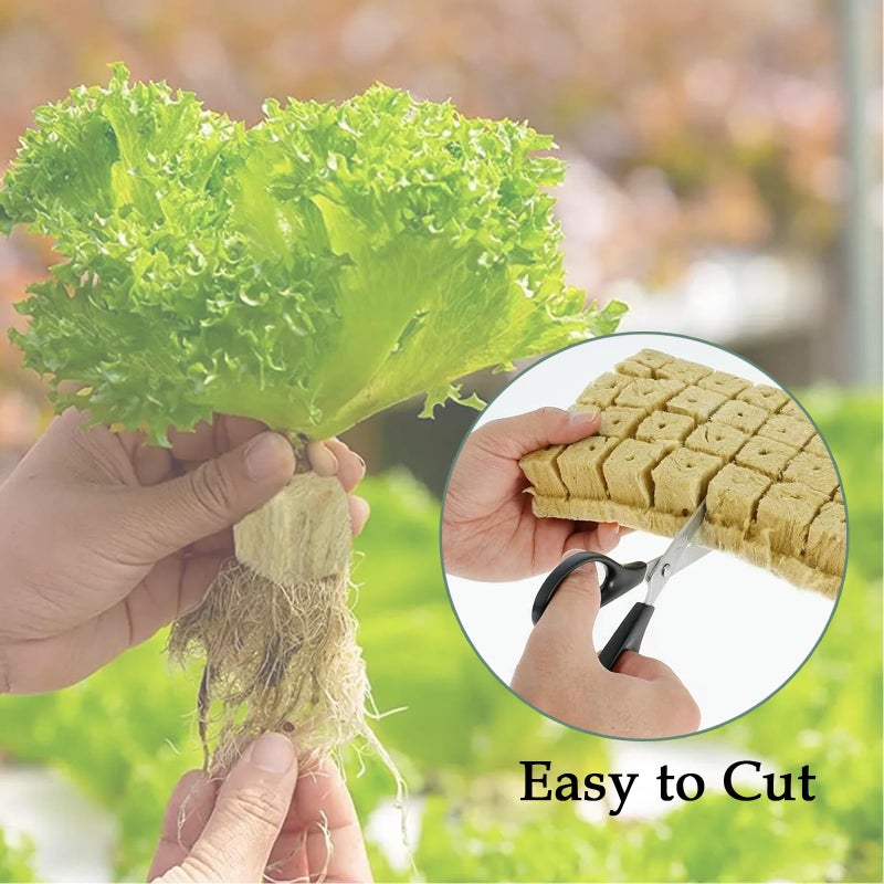 Meridian Hydroponic Growing Cubes – 50 Rockwool Blocks for Soil‑Less Cultivation, Seedling Propagation and Transplantation - CT - Image 5
