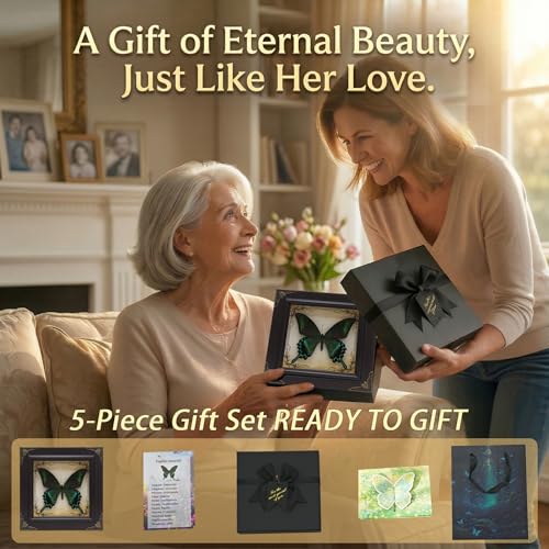 RISDORAY Handmade Real Butterfly Framed with 5 Pieces Gift Set - Gothic Home Decor and Vintage Frame - Butterflies Taxidermy Shadow Box Collection (Green-Banded Queen Butterfly) - Image 2