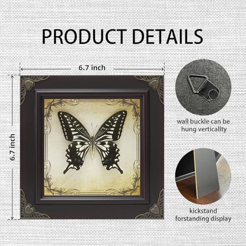 RISDORAY Handmade Real Butterfly Framed with 5 Pieces Gift Set - Gothic Home Decor and Vintage Frame - Butterflies Taxidermy Shadow Box Collection (Green-Banded Queen Butterfly) - Image 4