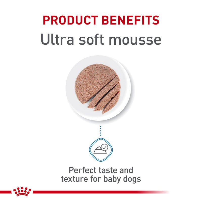 Royal Canin Size Health Nutrition Starter Mother & Babydog Mousse in Sauce Dog Food, 5.1 oz (Pack of 24) - Image 2